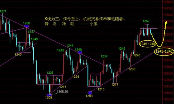 小狼：1262小双顶，今日或测试1242